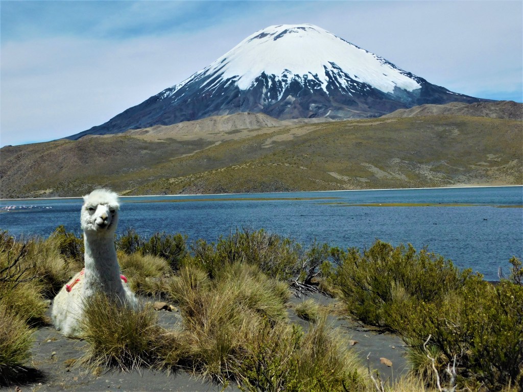 Ocho años sí son&nbsp;algo