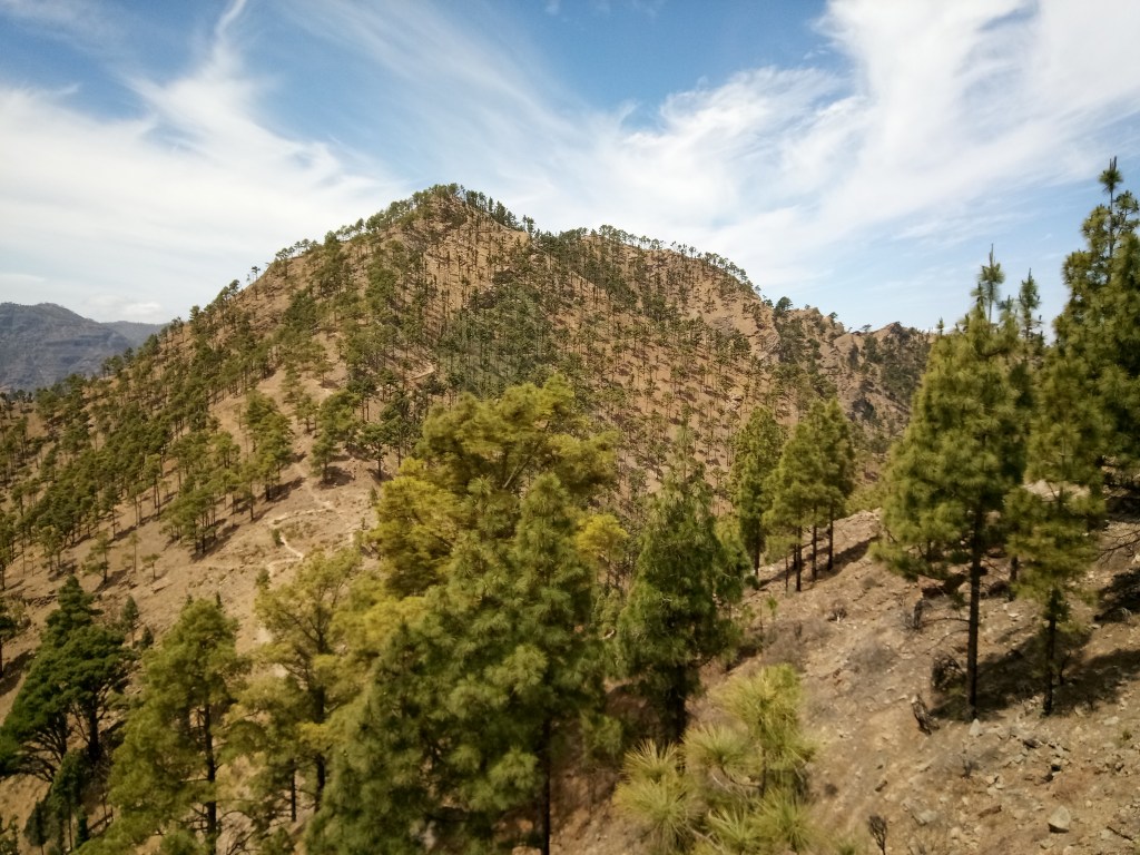 Paseos por Gran Canaria (y III). Pico Altavista (1376&nbsp;m.)